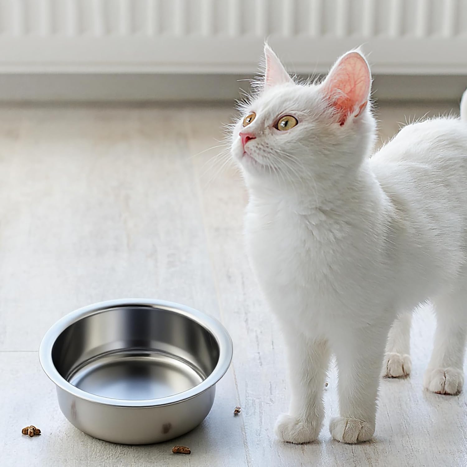 Never Run Out of Clean Bowls Again with This 2 Pack!