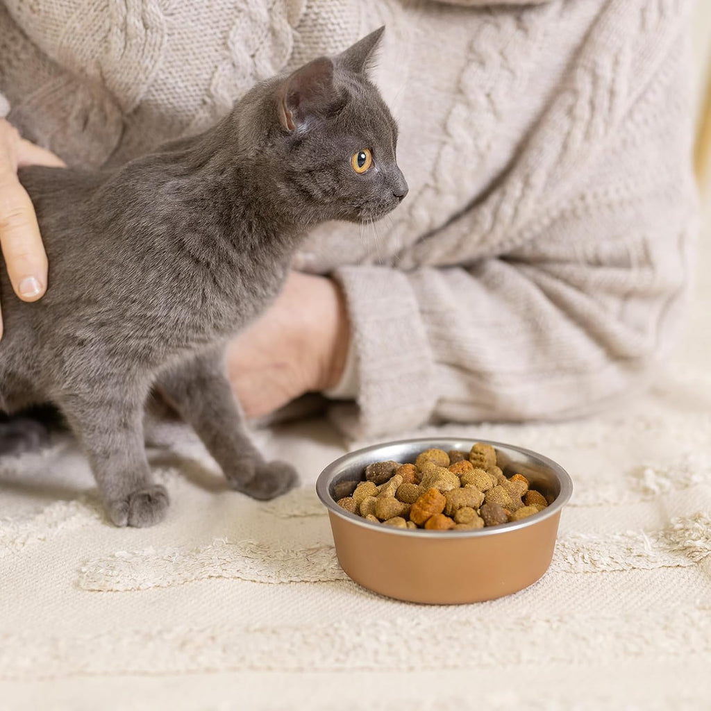 2 Pack 5.5" Metal Small Bowls Stainless Steel Pet Bowls Set, Replacement Cat Food Bowl for Food and Water for Cats, Small Dogs, Kitten, Puppy, Dishwasher Safe