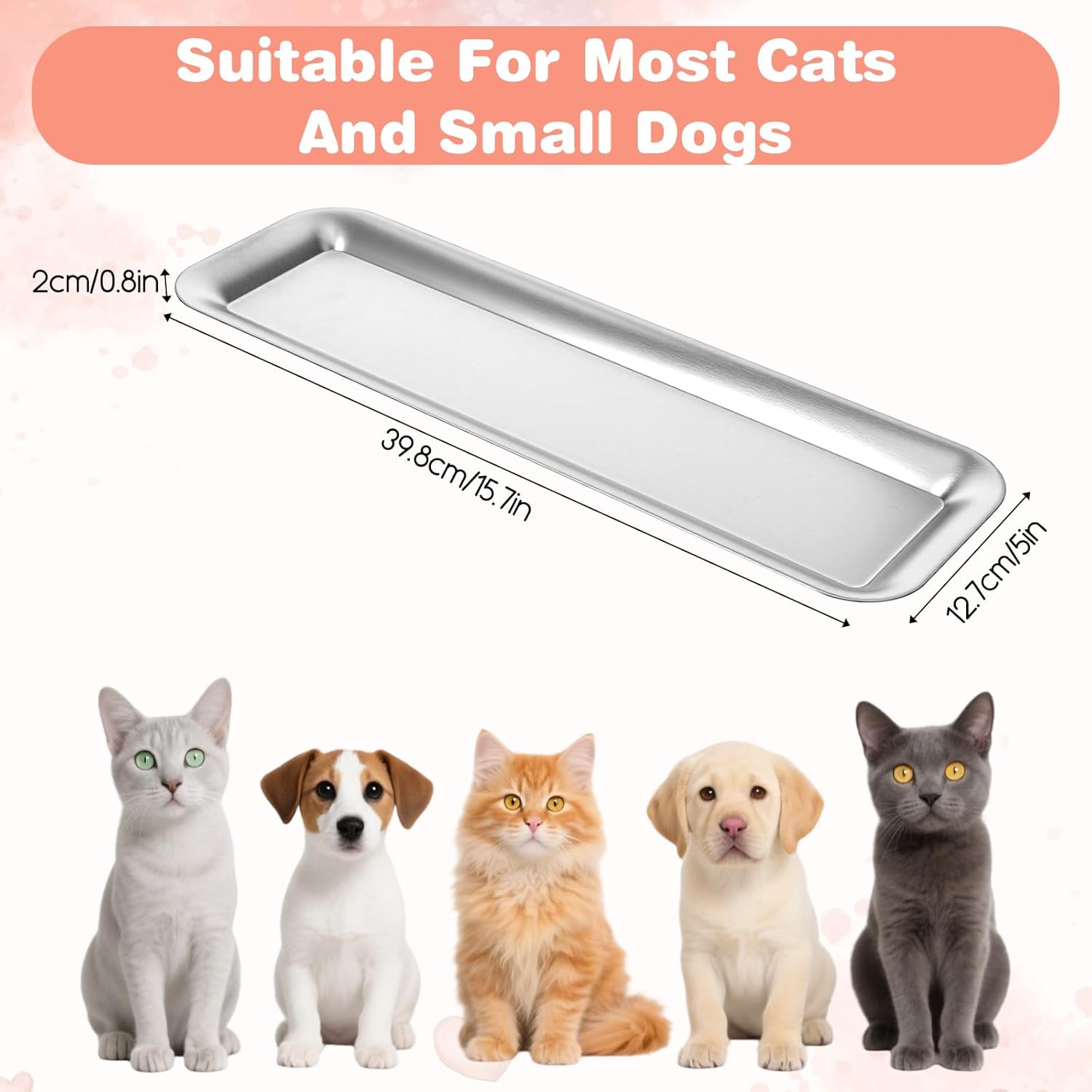 2 Pack Cat Food Bowls, Stainless Steel Extra Wide Anti Whisker Fatigue Dishes, Shallow Pet Bowls for Multi-Cat Families and Flat Face Breeds