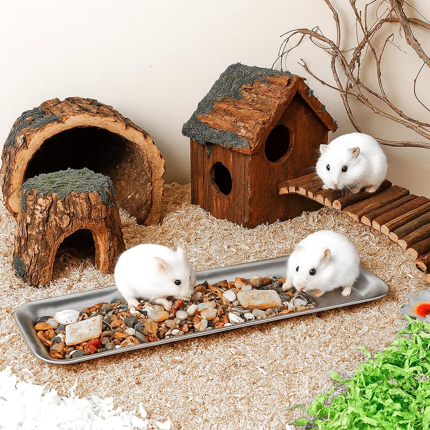 2 Pack Cat Food Bowls, Stainless Steel Extra Wide Anti Whisker Fatigue Dishes, Shallow Pet Bowls for Multi-Cat Families and Flat Face Breeds