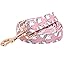 Elegant little tail Dog Leash, Christmas Pet Leashes Winter Female or Male Durable Cotton Leash Soft Handle Pet Puppy Leashes for Small Medium Large Dogs