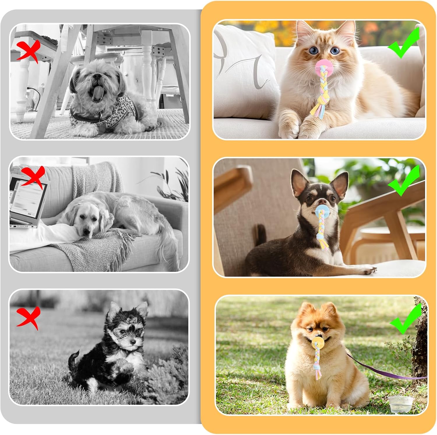 3Pcs Dog & Cat Pacifier with Rope, Small Pet Molar Clean Teeth Rubber Toy, Rubber Puppy Pacifier Chewing, Dog Chew Toys for Chewers, Playing Training Toys for Small Dogs & Adult Cat, 3 Cute Colors