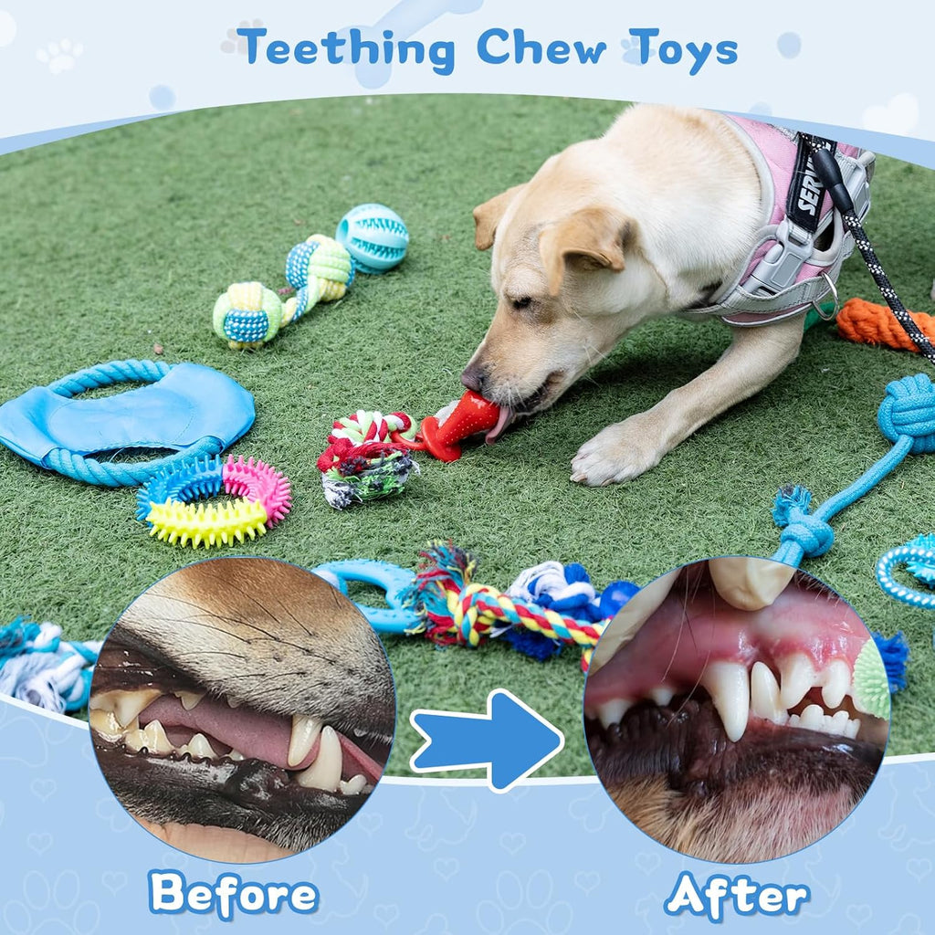15pcs Puppy Chew Toys for Teething, Small Dogs - Soft Silicone & Rubber Teething Toys to Soothe Gums, Indestructible Chew Toys for Aggressive Chewers, Interactive Dental Toys (Assorted Colors)