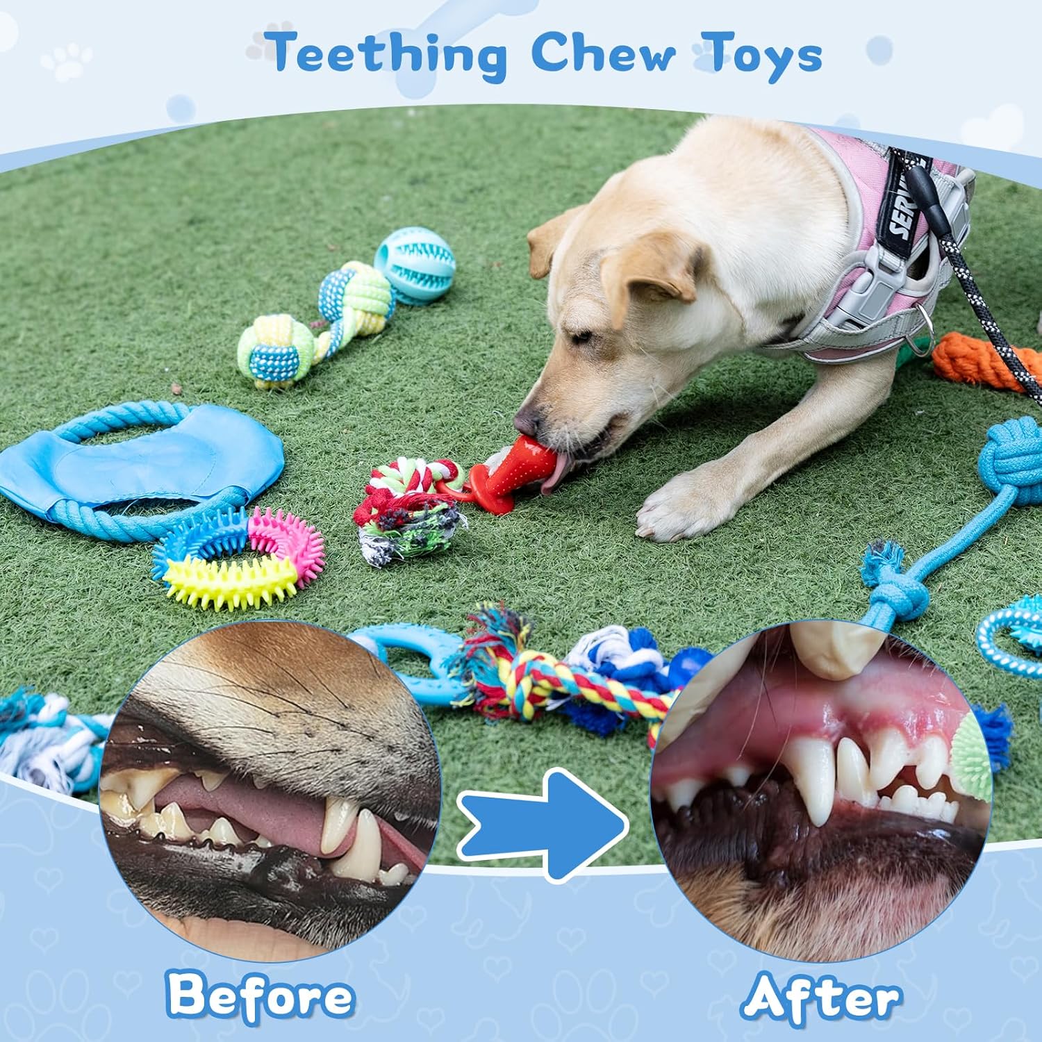 15pcs Puppy Chew Toys for Teething, Small Dogs - Soft Silicone & Rubber Teething Toys to Soothe Gums, Indestructible Chew Toys for Aggressive Chewers, Interactive Dental Toys (Assorted Colors)