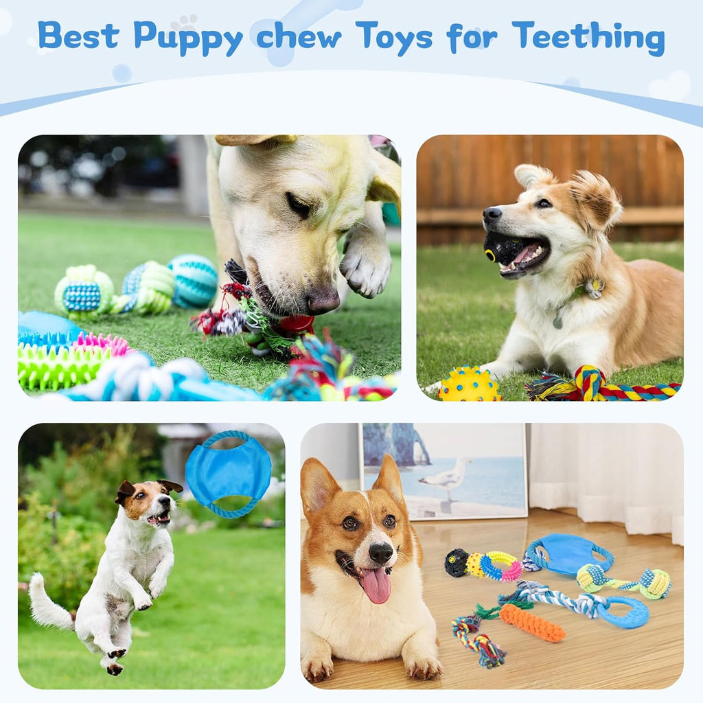 15pcs Puppy Chew Toys for Teething, Small Dogs - Soft Silicone & Rubber Teething Toys to Soothe Gums, Indestructible Chew Toys for Aggressive Chewers, Interactive Dental Toys (Assorted Colors)