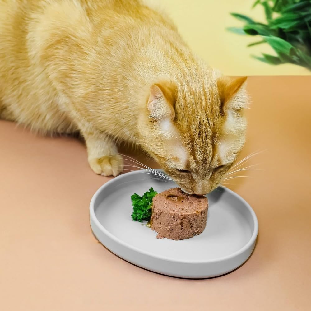 2 Pack 7 Inch Shallow Pet Bowls - Silicone Cat & Dog Food Dishes for Whisker Fatigue Relief - Non-Slip Flat Feeding Bowls for Dry/Wet Food & Water (Green & Gray)