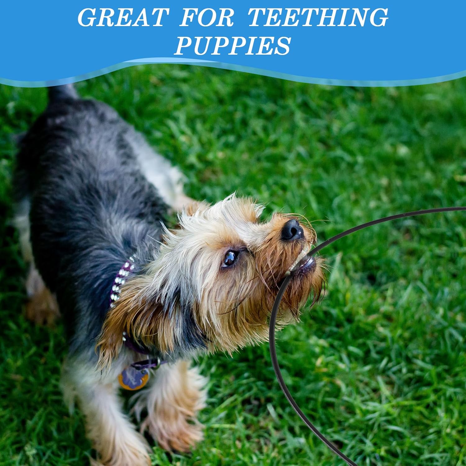 Chew Proof Dog Leash, 2pcs Dog Leash Extender, Metal Cable Leads, Multiple Dogs Leashes for Dogs, Support Add to Any Leashes & Collar & Harness(Black)