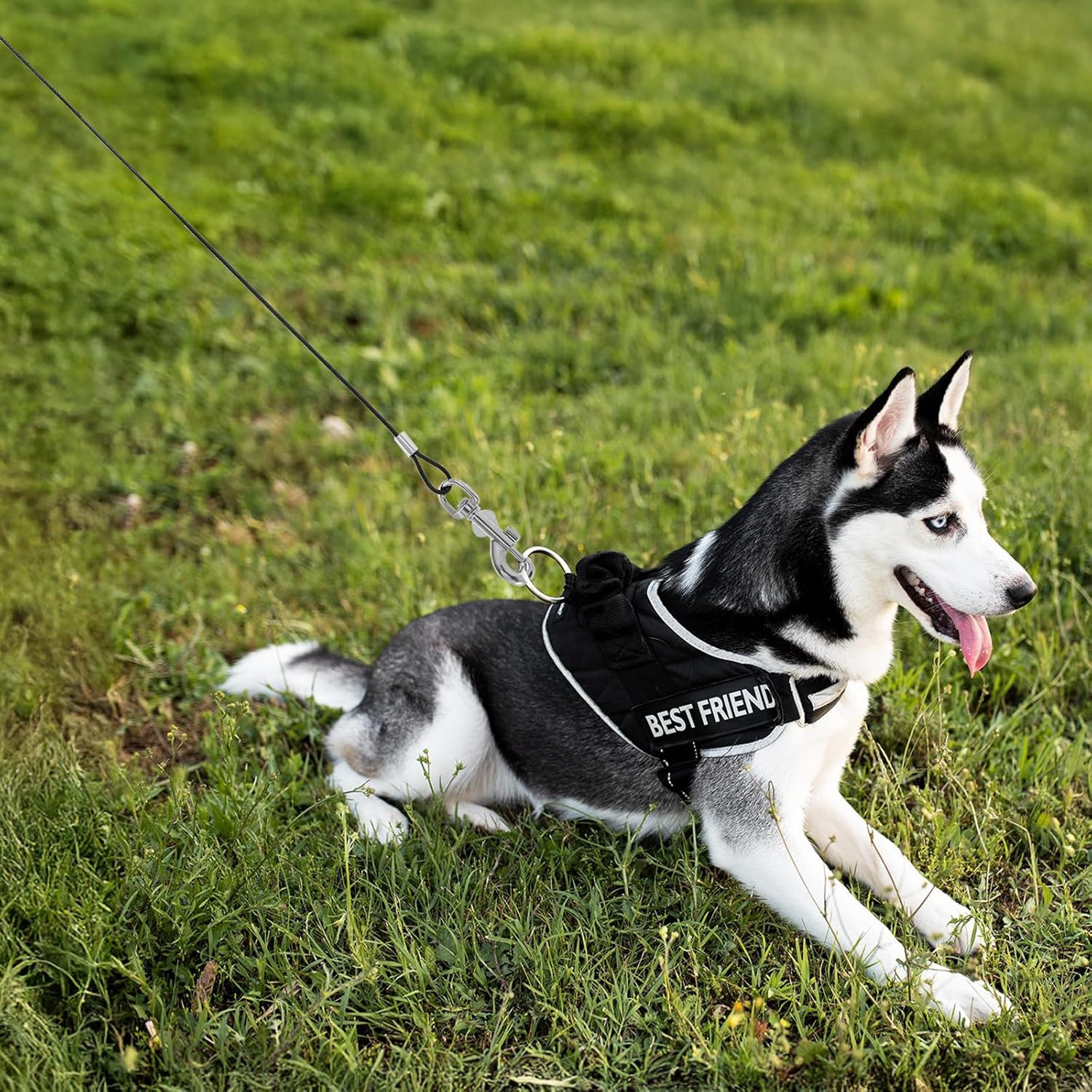 Chew Proof Dog Leash, 2pcs Dog Leash Extender, Metal Cable Leads, Multiple Dogs Leashes for Dogs, Support Add to Any Leashes & Collar & Harness(Black)