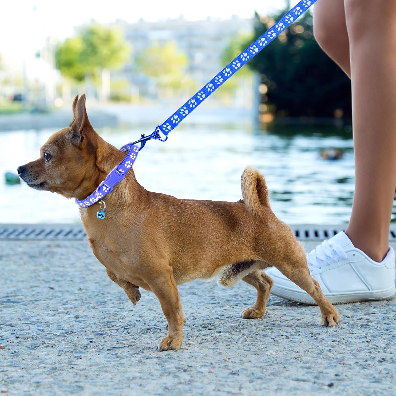 3 Pack Puppy Collar and Leash Dog Leashes and Collar Set Kitten Pet Cat Adjustable Training Rope Quick Release Paw Print Soft Nylon Pet Collars and Leashes