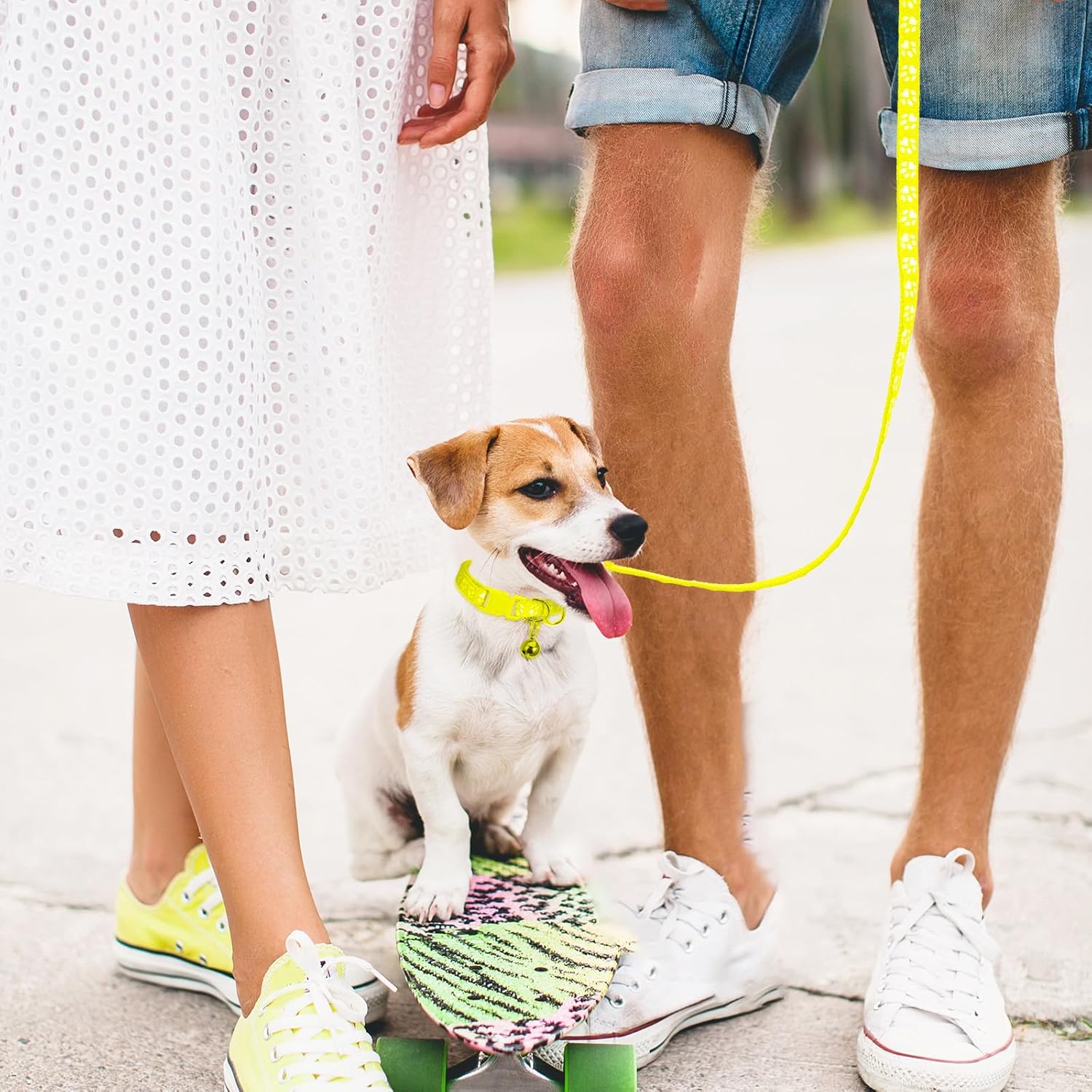 3 Pack Puppy Collar and Leash Dog Leashes and Collar Set Kitten Pet Cat Adjustable Training Rope Quick Release Paw Print Soft Nylon Pet Collars and Leashes