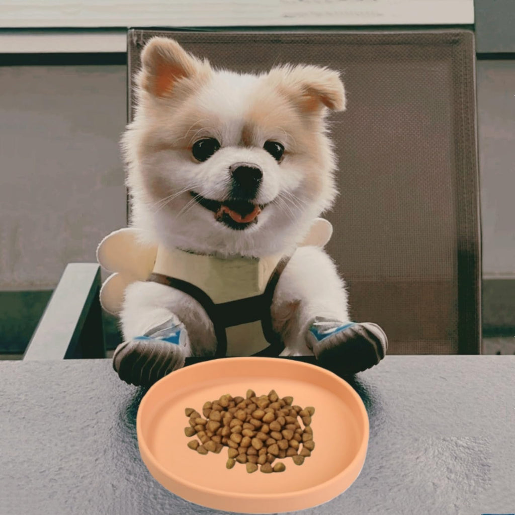 2 Pack 7 Inch Shallow Pet Bowls - Silicone Cat & Dog Food Dishes for Whisker Fatigue Relief - Non-Slip Flat Feeding Bowls for Dry/Wet Food & Water (Green & Gray)