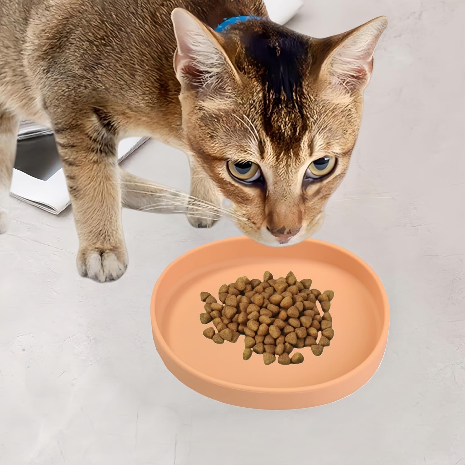 2 Pack 7 Inch Shallow Pet Bowls - Silicone Cat & Dog Food Dishes for Whisker Fatigue Relief - Non-Slip Flat Feeding Bowls for Dry/Wet Food & Water (Green & Gray)