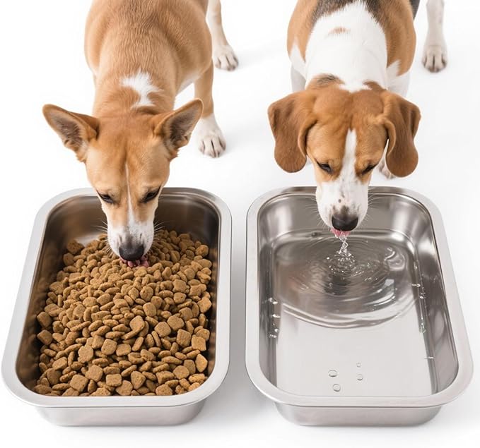 2 Pack Stainless Steel Dog Bowls for Medium and Small Size Dogs, 0.85 Gallons Metal Dog Water Food Bowl Dish, Medium Capacity Pet Feeding Water Bowls, Pet Food Pans Plates for Dogs, Big Cats, Rabbits