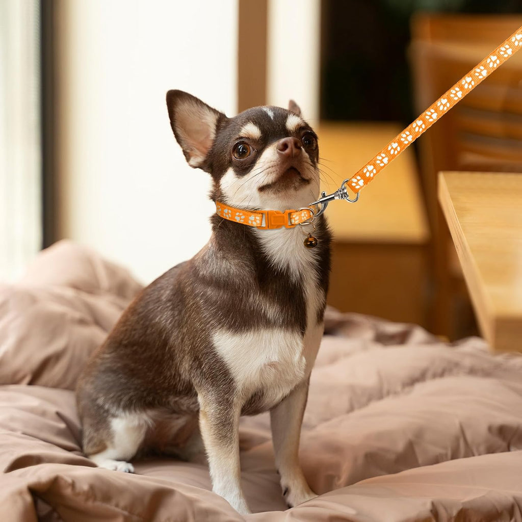 3 Pack Puppy Collar and Leash Dog Leashes and Collar Set Kitten Pet Cat Adjustable Training Rope Quick Release Paw Print Soft Nylon Pet Collars and Leashes