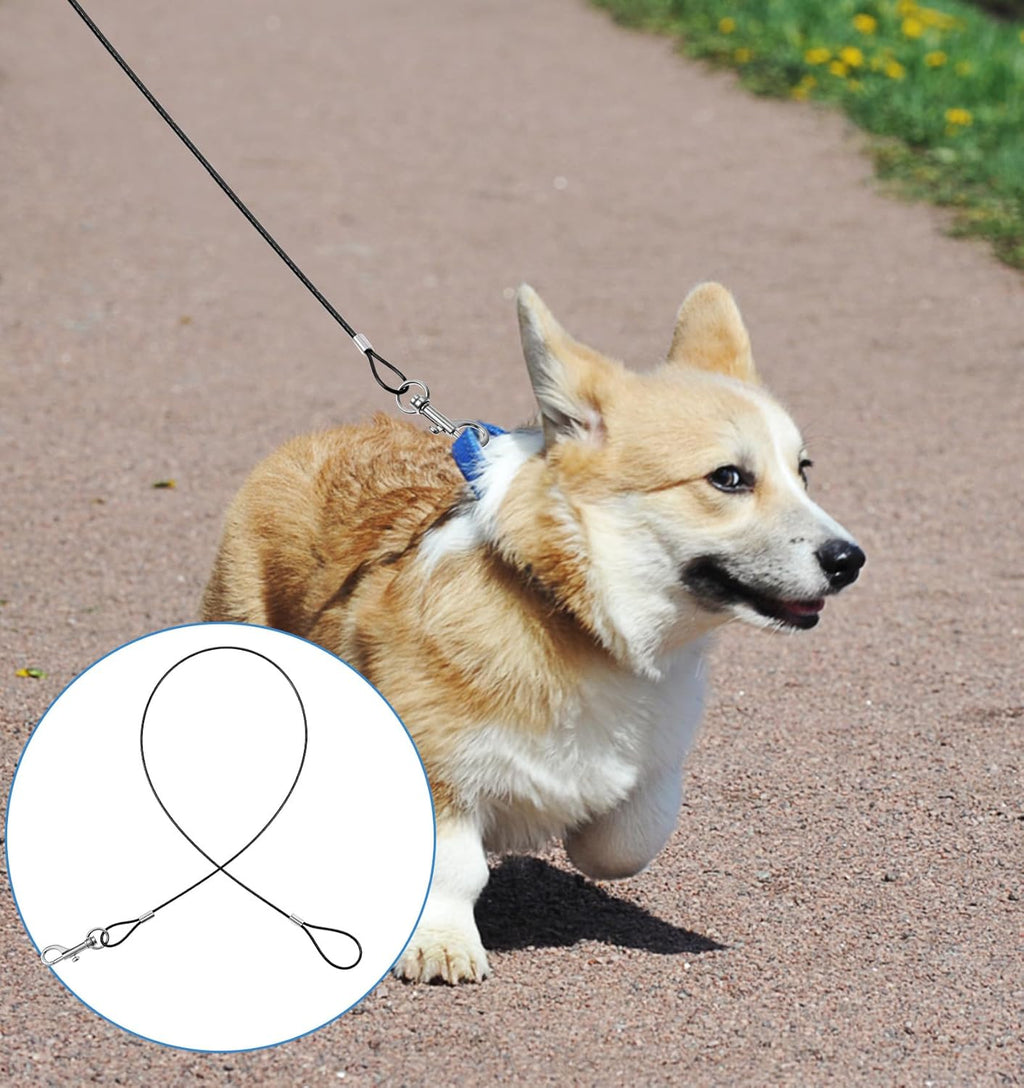 2 Pack Chew Proof Leash, Dog Leash Chew Proof 26in/66cm for Small & Medium Dogs, Heavy Duty No Tangle Leashes Extender for Collars & Harnesses (Black)