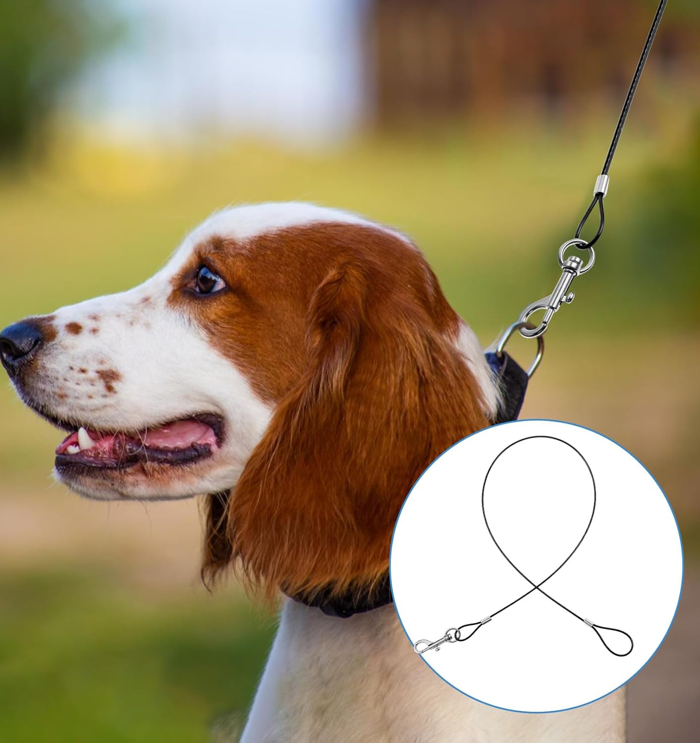 2 Pack Chew Proof Leash, Dog Leash Chew Proof 26in/66cm for Small & Medium Dogs, Heavy Duty No Tangle Leashes Extender for Collars & Harnesses (Black)